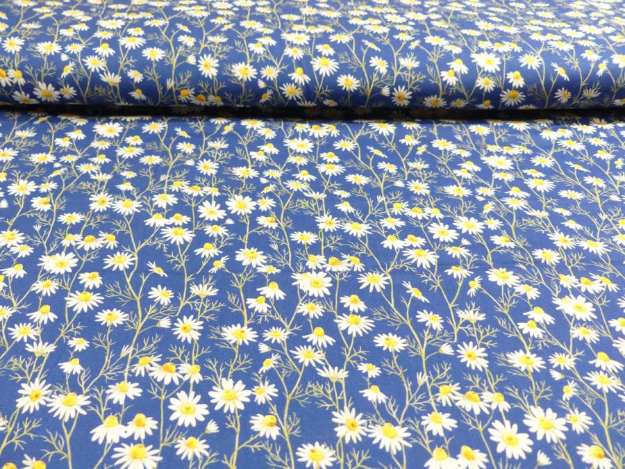 Hedgehog Hollow Blumen Gänseblümchen Daisies blau von In the Beginning